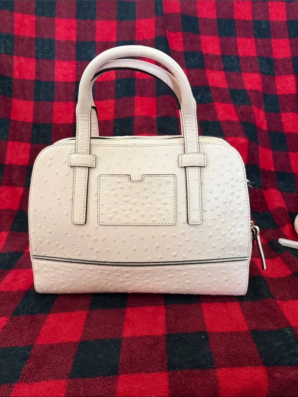 Kate Spade Riverside Street Ostrich Small Felix Satchel